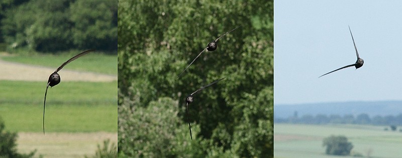 Vorbeifluege