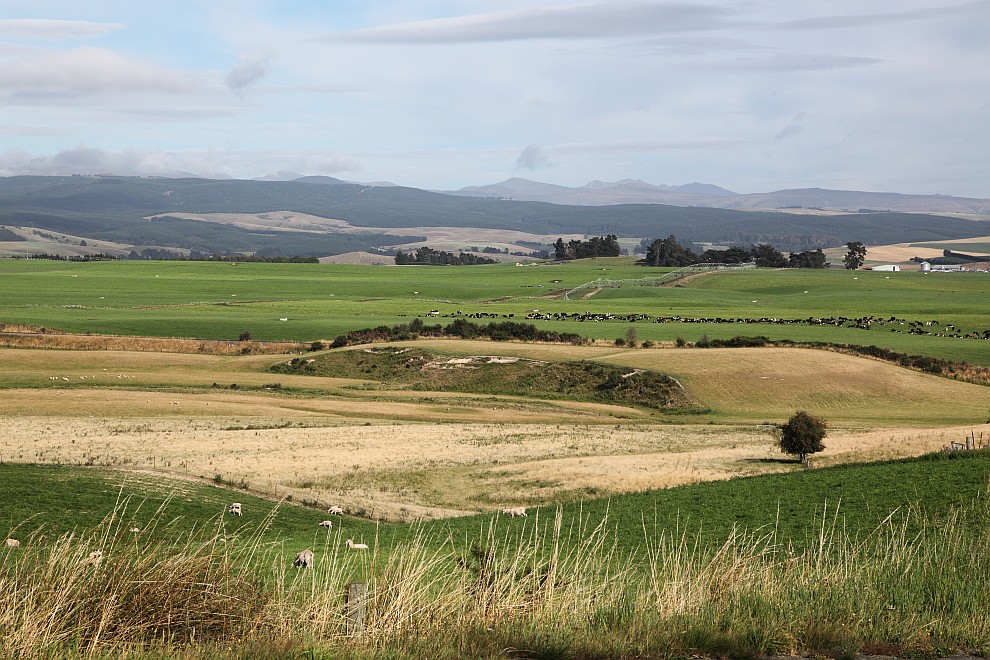 Landschaft