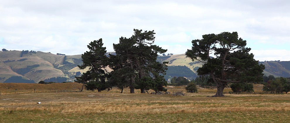 Otago-Halbinsel