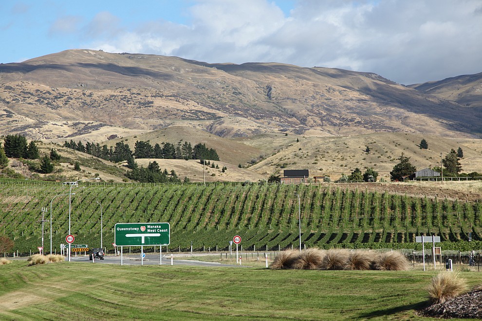 Weinber in Cromwell