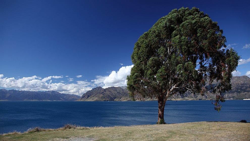 Lake Hawea