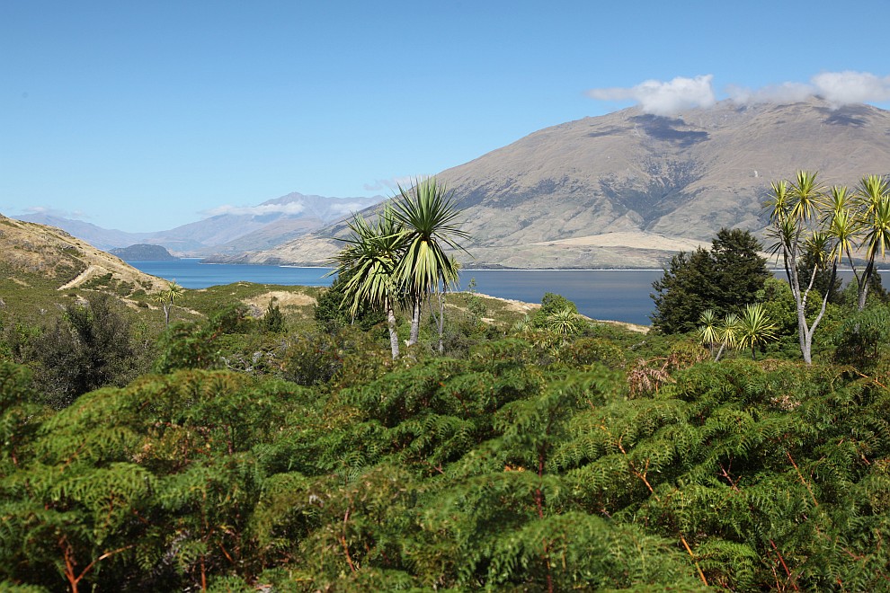 Lake Wanaka