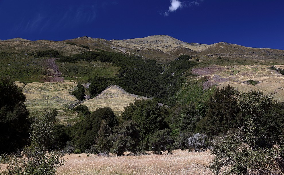 Berge am Makarora River