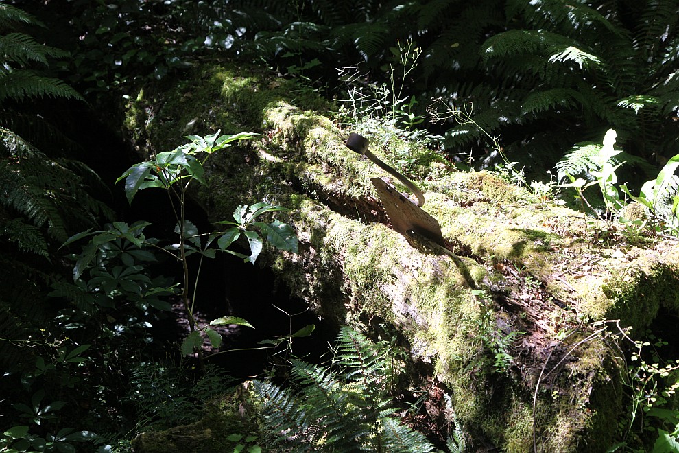 Makarora Nature Bush