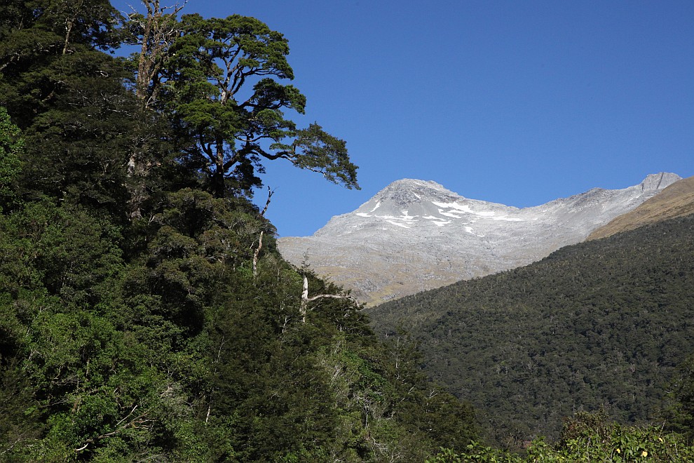 Haast River