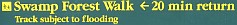 Swamp Forest Walk