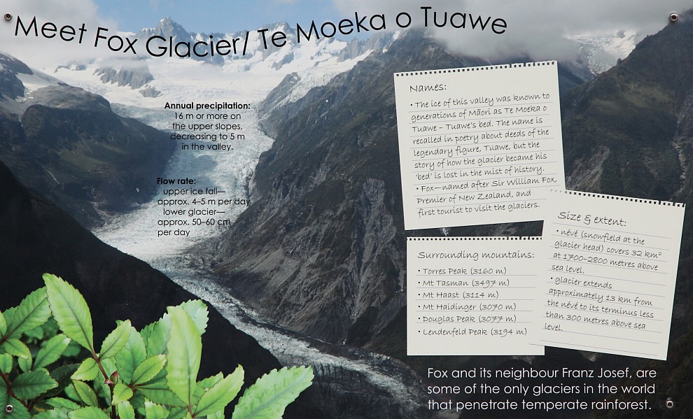Fox Glacier - Infotafel