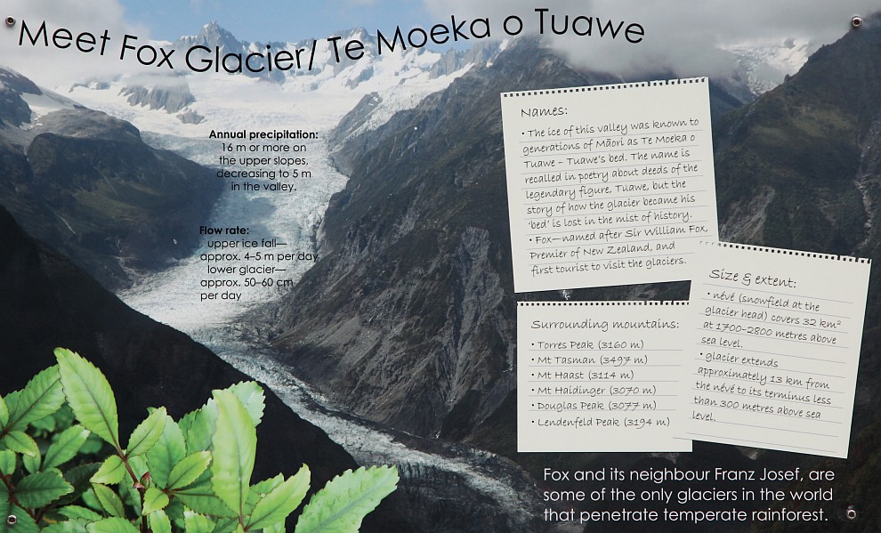 Fox Glacier - Infotafel