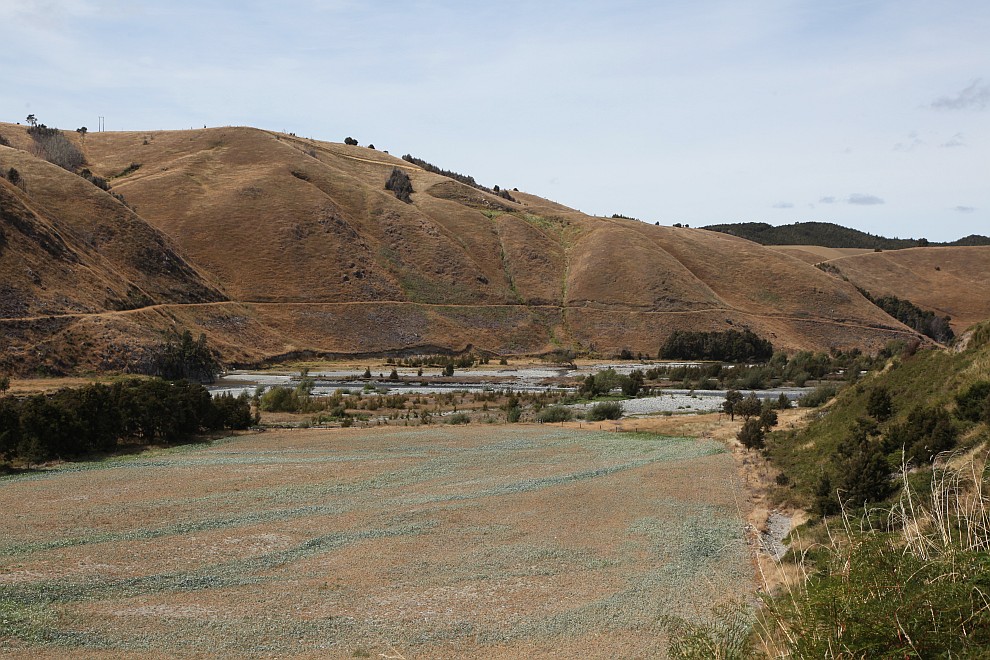 Buller River