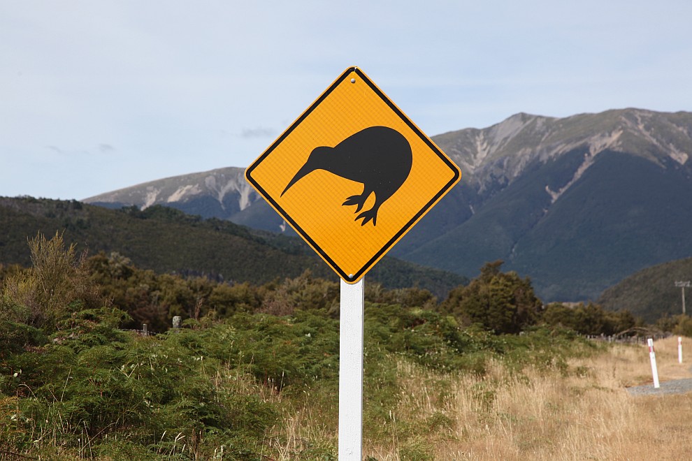 Kiwi-Schild