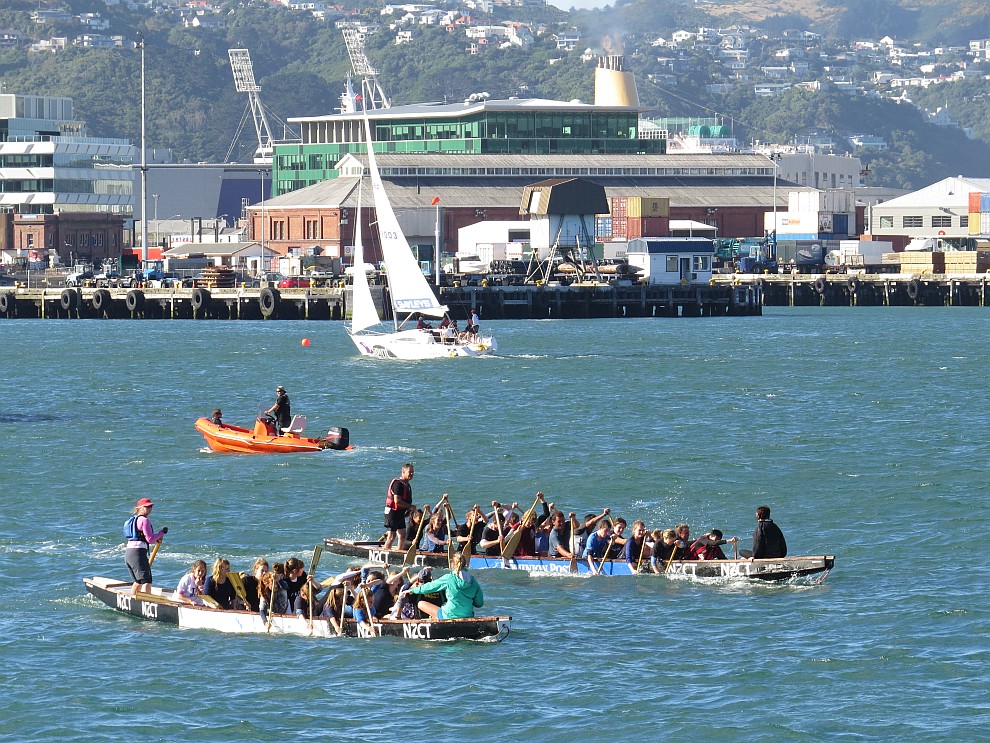 Regatta im Hafen