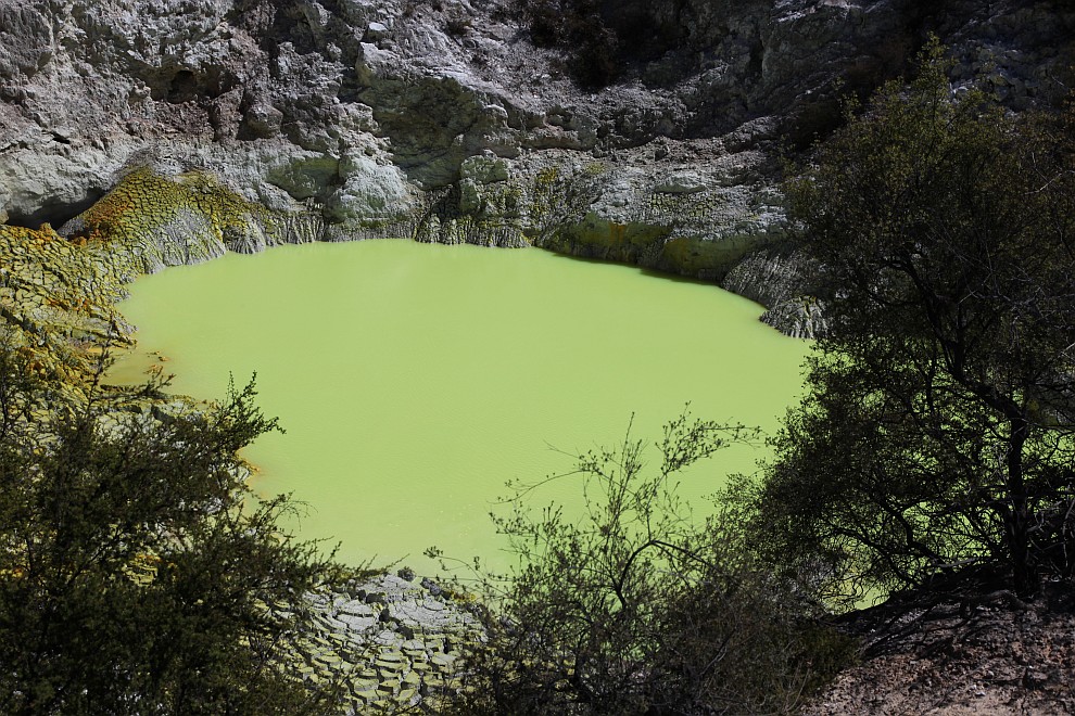 Grüner Teich